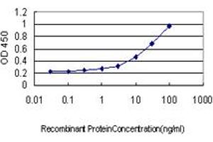 Detection limit for recombinant GST tagged GLUL is approximately 0. (GLUL antibody  (AA 1-373))