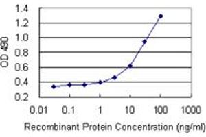 PNMA2 (Human) Matched Antibody Pair