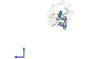 AlphaFold protein structure predicition of Mouse Recombinant Cux1 Protein, UniprotID P53564 (CUX1 Protein (AA 1-1515) (His tag))