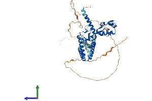 AlphaFold protein structure predicition of Human Recombinant SMARCD2 Protein, UniprotID Q92925