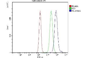 Flow Cytometry analysis of JK cells using anti-PEPP2/PLEKHA5 antibody (ABIN7600924).