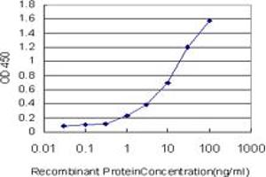 Detection limit for recombinant GST tagged TCF7L2 is approximately 0. (TCF7L2 antibody  (AA 1-455))