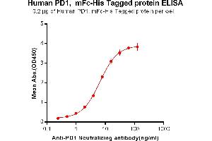 ELISA plate pre-coated by 2 μg/mL (100 μL/well) Human PD1, mFc-His tagged protein (ABIN6961098) can bind Anti-PD-1 Neutralizing antibody in a linear range of 0. (PD-1 Protein (mFc-His Tag))