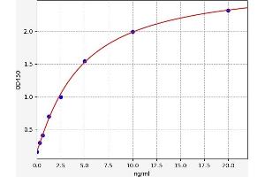 Typical standard curve