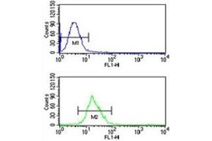 Flow Cytometry (FACS) image for anti-Integrin beta 3 (ITGB3) (AA 734-760) antibody (ABIN3031378)