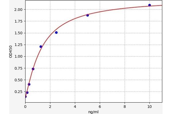 CCRL1 ELISA Kit