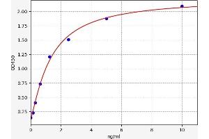 Typical standard curve (CCRL1 ELISA Kit)