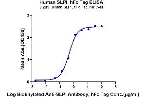 Immobilized Human SLPI, hFc Tag at 2 μg/mL (100 μL/Well) on the plate. (SLPI Protein (AA 26-132) (Fc Tag))