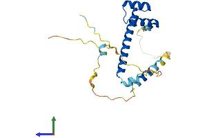 Protein Structure (PS) image for Ladybird Homeobox 2 (LBX2) (AA 1-198) protein (His tag) (ABIN7548950)