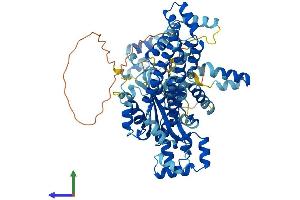 AlphaFold protein structure predicition of Human Recombinant FAM200B Protein, UniprotID P0CF97 (FAM200B Protein (AA 1-657) (His tag))
