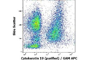 Flow cytometry intracellular staining pattern of human peripheral whole blood spiked with MCF-7 cells stained using anti-Cytokeratin 19 (A53-B/A2) purified antibody (concentration in sample 3 μg/mL, GAM APC). (Cytokeratin 19 antibody)
