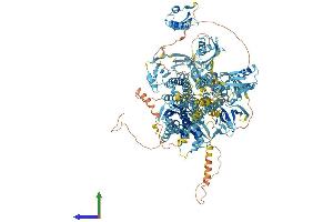 Protein Structure (PS) image for ATPase, Cu++ Transporting, alpha Polypeptide (ATP7A) (AA 1-1491) protein (His tag) (ABIN7563990)