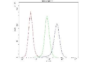 Flow Cytometry analysis of Hela cells using anti-IDE antibody (ABIN5693119).