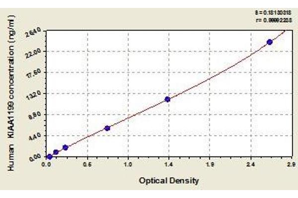 CEMIP ELISA Kit
