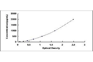 Typical standard curve (REG3g ELISA Kit)