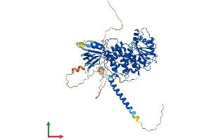 AlphaFold protein structure predicition of Mouse Recombinant Mtmr1 Protein, UniprotID Q9Z2C4