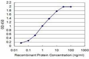 Detection limit for recombinant GST tagged SMG1 is approximately 0. (SMG1 antibody  (AA 2922-3031))