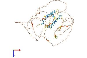 AlphaFold protein structure predicition of Mouse Recombinant Ccdc116 Protein, UniprotID Q80X53 (CCDC116 Protein (AA 1-541) (His tag))