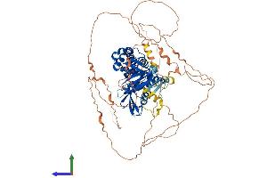 AlphaFold protein structure predicition of Human Recombinant FRMD7 Protein, UniprotID Q6ZUT3