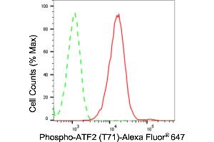 Flow cytometric analysis of phospho-ATF2 (T71) expression in C2C12 cells using phospho-ATF2 (T71) antibody (ABIN7797480), 1:2,000). (Recombinant ATF2 antibody  (pThr71))