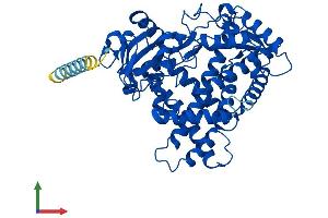 AlphaFold protein structure predicition of Human Recombinant CYP2A6 Protein, UniprotID P11509 (CYP2A6 Protein (AA 1-494) (His tag))
