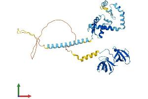 AlphaFold protein structure predicition of Human Recombinant KIN Protein, UniprotID O60870 (KIN Protein (AA 1-393) (His tag))