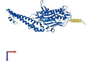AlphaFold protein structure predicition of Human Recombinant SARS1 Protein, UniprotID P49591 (Seryl-tRNA Synthetase (SARS) (AA 1-514) protein (His tag))