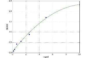 A typical standard curve (CDKN3 ELISA Kit)