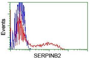 HEK293T cells transfected with either RC203139 overexpress plasmid (Red) or empty vector control plasmid (Blue) were immunostained by anti-SERPINB2 antibody (ABIN2455360), and then analyzed by flow cytometry. (SERPINB2 antibody)