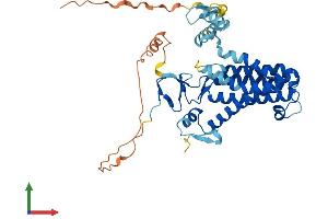 AlphaFold protein structure predicition of Human Recombinant ZDHHC23 Protein, UniprotID Q8IYP9
