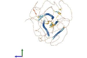 AlphaFold protein structure predicition of Human Recombinant AMOT Protein, UniprotID Q4VCS5