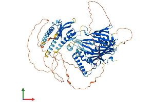 AlphaFold protein structure predicition of Human Recombinant OSBPL10 Protein, UniprotID Q9BXB5