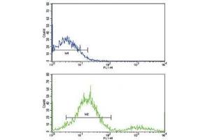 Flow cytometric analysis of ZR-75-1 cells using MCL1 antibody (green) compared to a negative control (blue). (MCL-1 antibody  (AA 191-226))