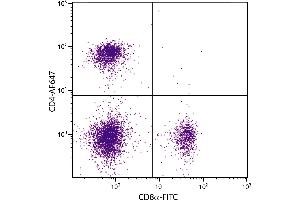 BALB/c mouse splenocytes were stained with Rat Anti-Mouse CD4-AF647 and Rat Anti-Mouse CD8α-FITC. (CD4 antibody)