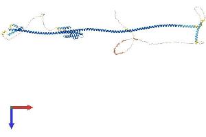 AlphaFold protein structure predicition of Human Recombinant CCDC157 Protein, UniprotID Q569K6 (CCDC157 Protein (AA 1-752) (His tag))