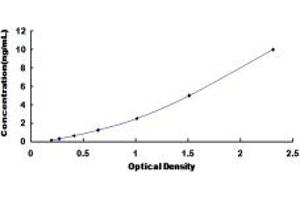 Typical standard curve (SCNN1A ELISA Kit)