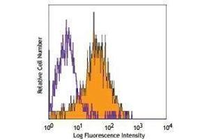Flow Cytometry (FACS) image for anti-Endoglin (ENG) antibody (Pacific Blue) (ABIN2662188) (Endoglin antibody  (Pacific Blue))