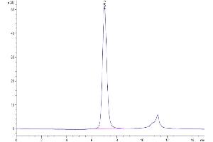 The purity of Human FGFR3 beta (IIIb) is greater than 95 % as determined by SEC-HPLC.