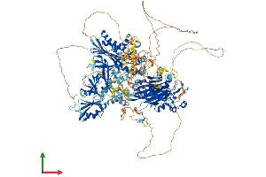 Protein Structure (PS) image for Synaptojanin 2 (SYNJ2) (AA 1-1434) protein (His tag) (ABIN7564974)