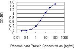 Detection limit for recombinant GST tagged TIPIN is 0. (TIPIN antibody  (AA 1-301))