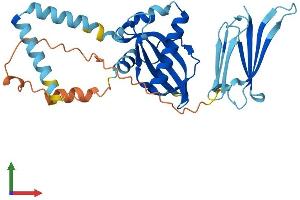 Protein Structure (PS) image for PIH1 Domain Containing 2 (PIH1D2) (AA 1-315) protein (His tag) (ABIN7550758)