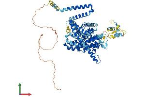 AlphaFold protein structure predicition of Human Recombinant SLC28A3 Protein, UniprotID Q9HAS3