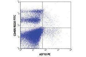 Flow Cytometry (FACS) image for anti-Fms-Related tyrosine Kinase 3 (FLT3) antibody (PE) (ABIN2663014) (FLT3 antibody  (PE))