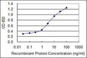 ELISA image for anti-Collagen, Type I (COL1) antibody (ABIN782308) (Collagen Type I antibody)