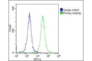 Overlay histogram showing Hela cells stained with (ABIN6243383 and ABIN6578856)(green line). (CLCN1 antibody  (AA 32-66))