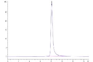 Size-exclusion chromatography-High Pressure Liquid Chromatography (SEC-HPLC) image for Ectonucleotide pyrophosphatase/phosphodiesterase 3 (ENPP3) (AA 46-874) protein (His tag) (ABIN7274533)