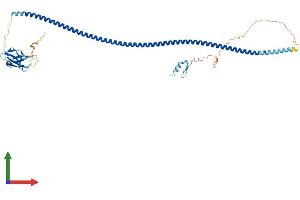 AlphaFold protein structure predicition of Human Recombinant CALCOCO2 Protein, UniprotID Q13137