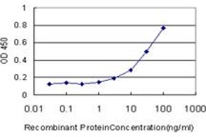 Detection limit for recombinant GST tagged CTSW is approximately 3ng/ml as a capture antibody. (Cathepsin W antibody  (AA 22-376))