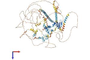 AlphaFold protein structure predicition of Human Recombinant GIGYF1 Protein, UniprotID O75420 (GIGYF1 Protein (AA 1-1035) (His tag))