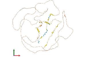 AlphaFold protein structure predicition of Human Recombinant CYLC1 Protein, UniprotID P35663 (CYLC1 Protein (AA 1-651) (His tag))
